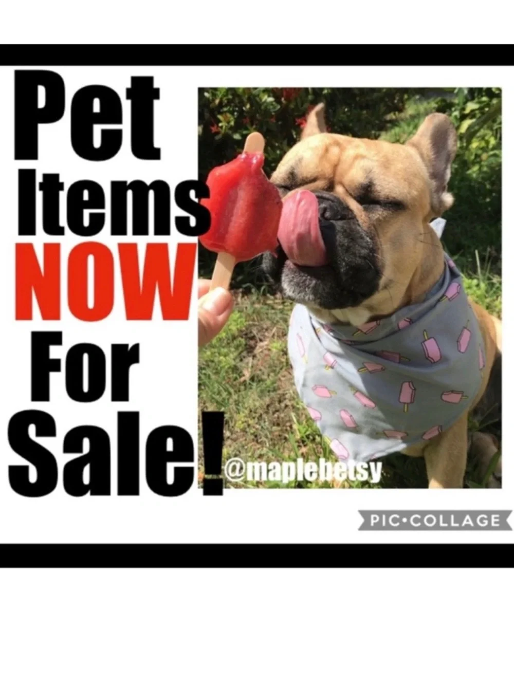 Dog items for sale! Check it out!